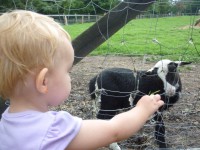 /album/foto/p1040660-jpg1/