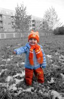 /album/foto/p1060174d-jpg1/