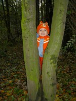 /album/foto/p1060198a-jpg1/